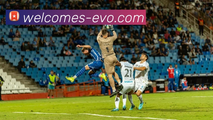 EVO真人官网发展历程